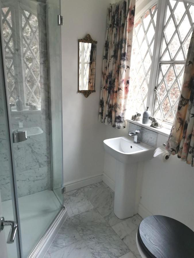 The Coach House Apartment At Cefn Tilla Court, アースク エクステリア 写真
